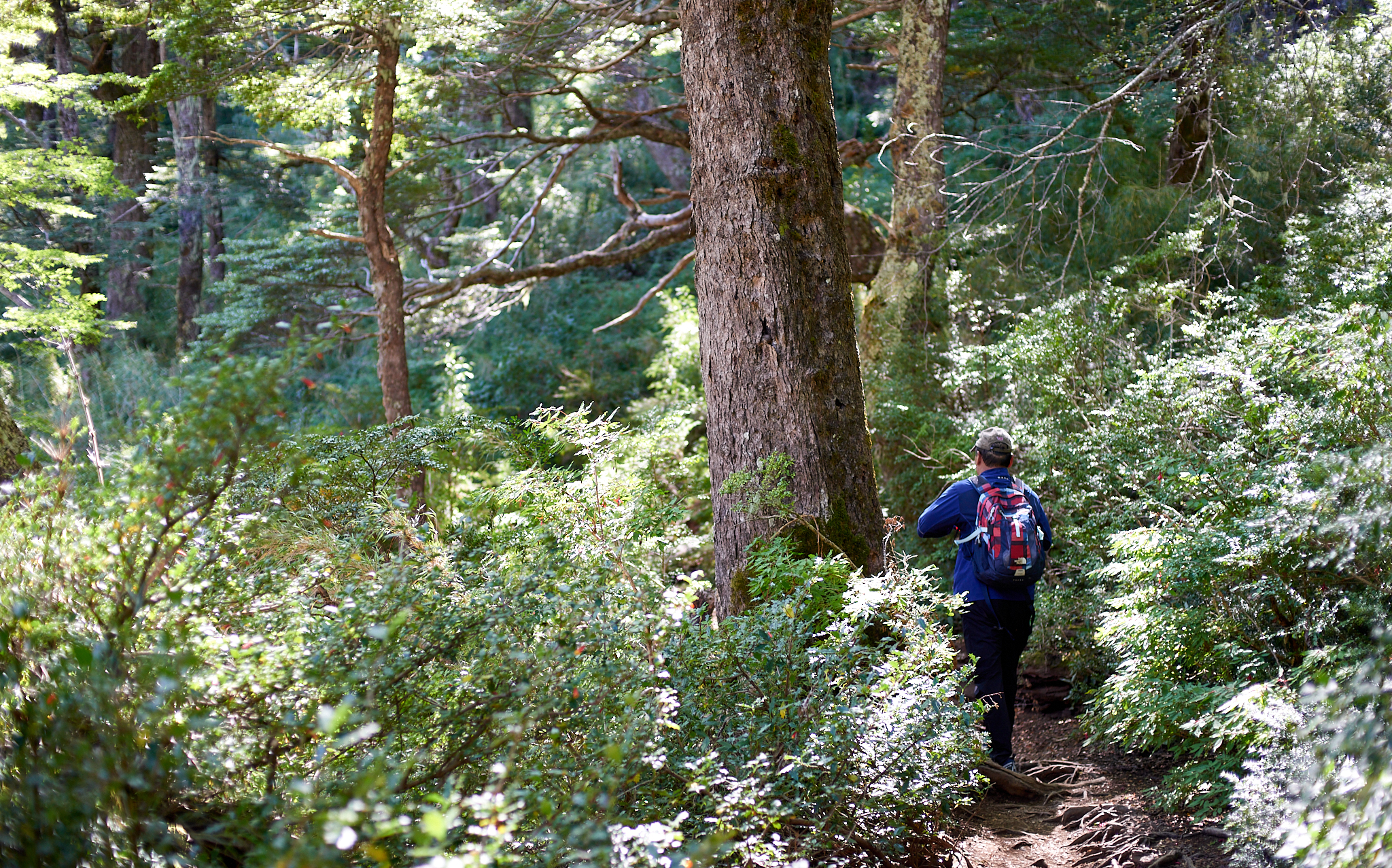 20200317 882 [칠레] 푸콘 우에르케우에 국립공원 트레킹